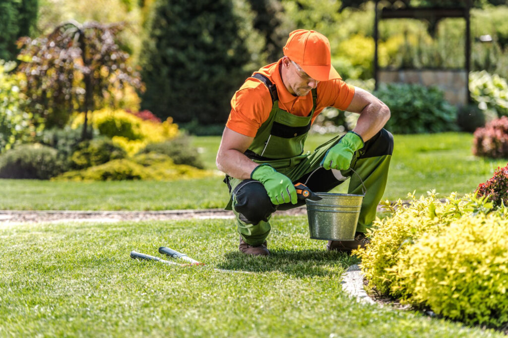Maintenance and Care