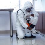 Pest Control Services