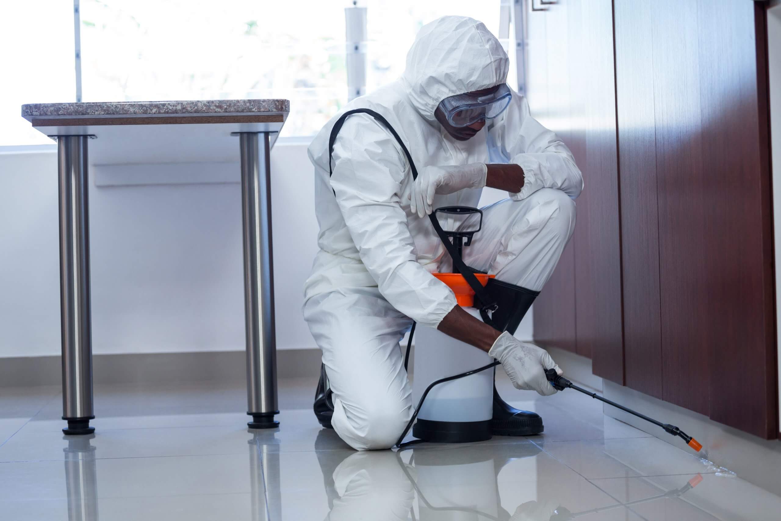 An Overview of How to Get Your House Prepared for Pest Control Services 
