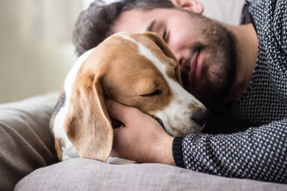 5 Essential Tips for Getting a Dog for Your Lifestyle
